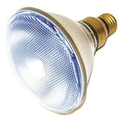 Track lighting with clear glass shadesSylvania Incandescent Reflector Lamp Par38 100 Watt 120 Volts Medium Skirted Blue 30 Deg. Beam Angle