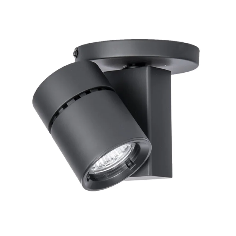 Adjustable Industrial Lighting for Flexible IlluminationExterminator II LED Monopoint Head 22W 1500 Lumens 2700K, 18°, Black