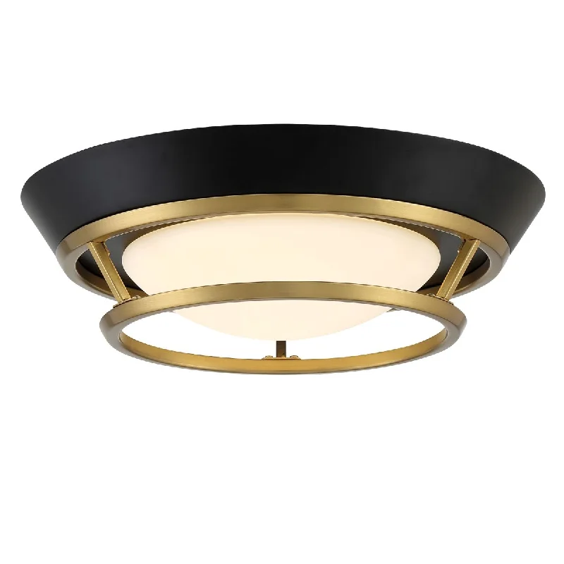 Corrosion - Resistant Industrial Lighting for Coastal FactoriesBeam Me Up 11 in. LED Flush Mount Light Coal & Satin Brass Finish Corrosion - Resistant Industrial Lighting for Coastal FactoriesBeam Me Up 11 in. LED Flush Mount Light Coal & Satin Brass Finish