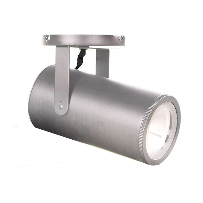 Industrial Ceiling - Mounted Lighting for Assembly PlantsSilo X42 LED Monopoint Head 42W 2200 Lumens 2700K, Adjustable Beam 15°- 50°, Nickel