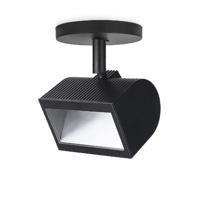 Explosion - Proof Industrial Lighting for Hazardous LocationsLED Monopoint Wall Wash 20W 1000 Lumens 3500K, Black