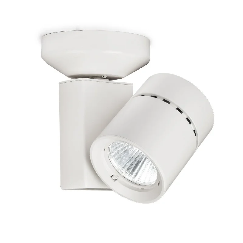 Industrial Lighting for Woodworking FactoriesExterminator II LED Monopoint Head 35W 2000 Lumens 2700K, 55°, White