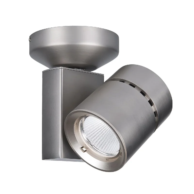 Industrial Lighting for Chemical PlantsExterminator II LED Monopoint Head 35W 2000 Lumens 2700K, 25°, Nickel