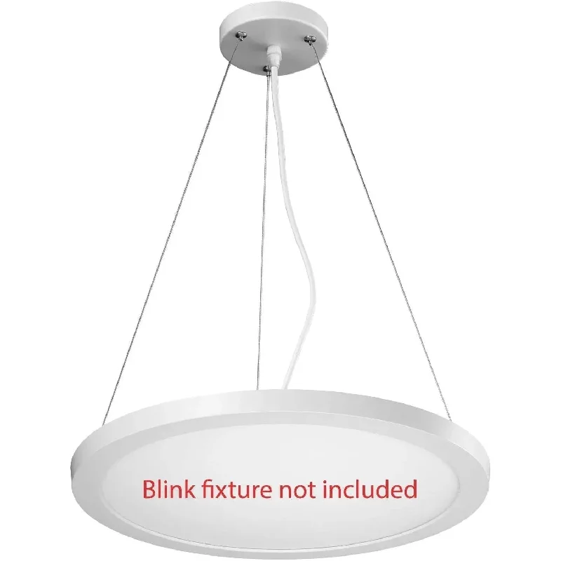 Contemporary track lighting in black finishBlink Pro Pend Conversion Kit
