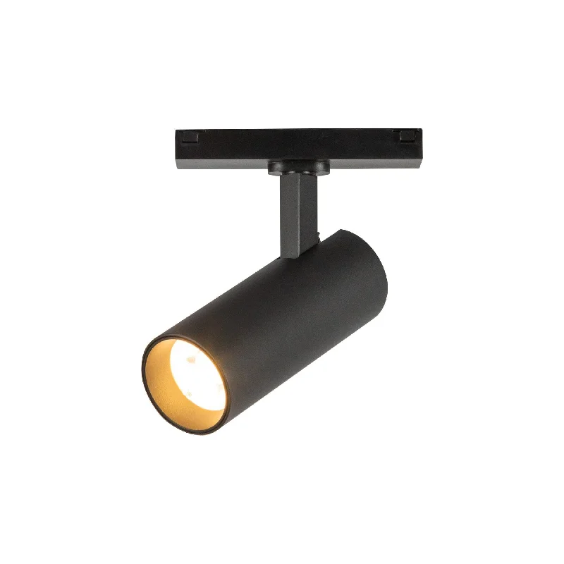 Track lighting for outdoor gardensPaolo 25" Trilo Track Directional Light