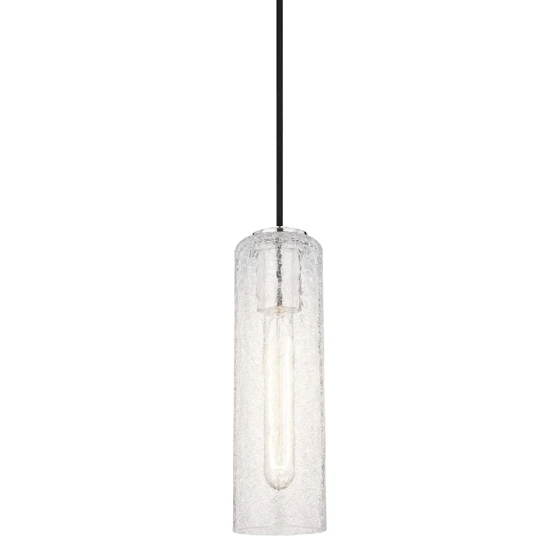 Corrosion - Resistant Industrial Lighting for Coastal FactoriesSkye 4 in. Pendant Light Polished Nickel Finish