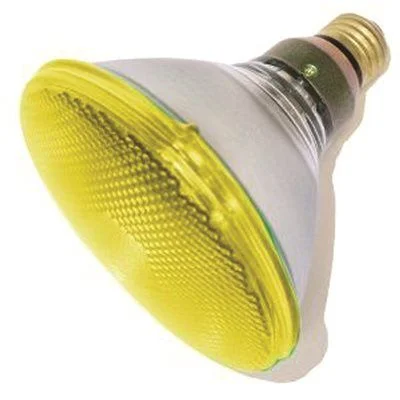Track lighting for creating a focal pointSylvania Incandescent Reflector Lamp Par38 100 Watt 120 Volts Medium Skirted Yellow 30 Deg. Beam Angle