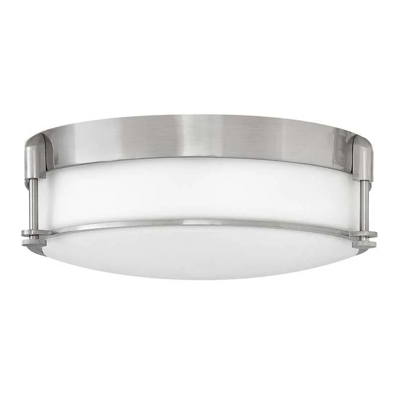 Track lighting for modernizing traditional interiorsHinkley 3233 Foyer Colbin Ceiling Light